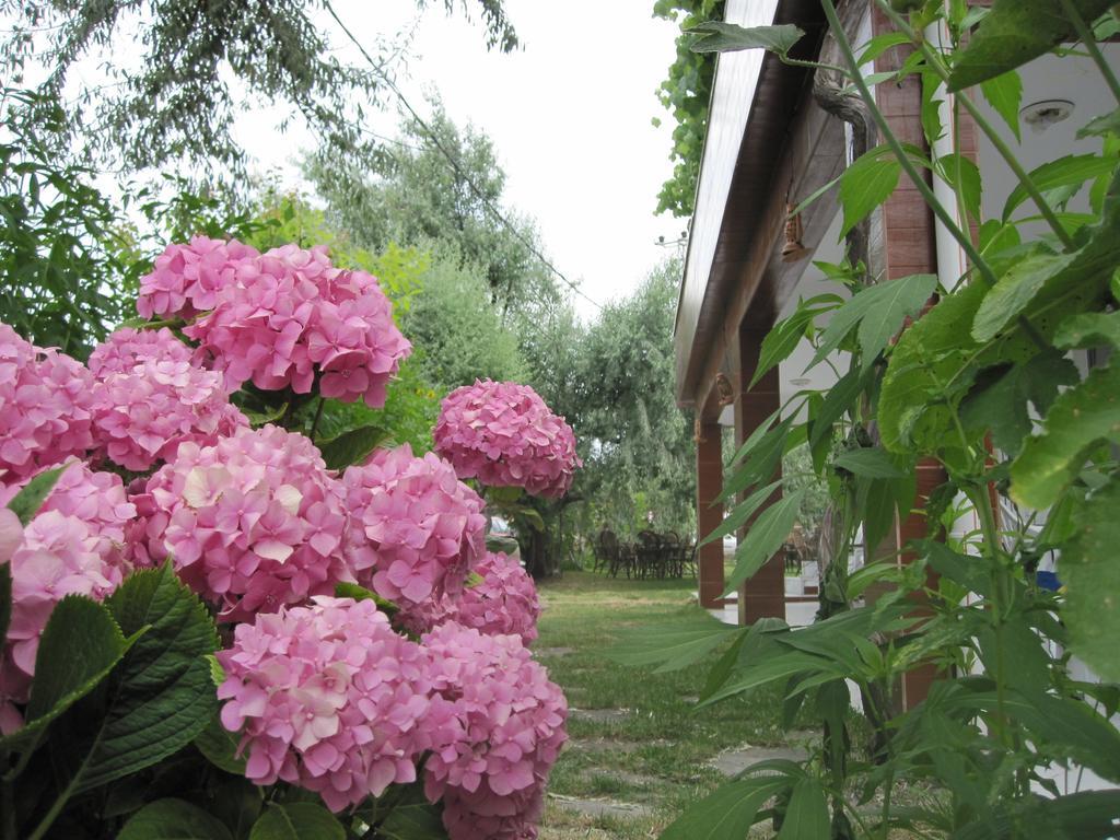 Uysallar Koy Evi İmroz Exterior foto